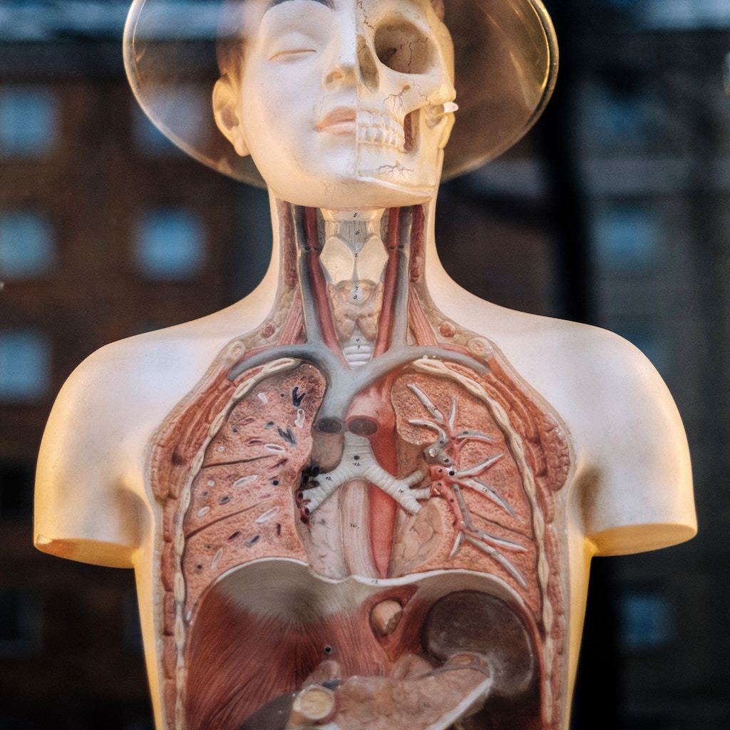 Living with Cystic Fibrosis | Care+Wear