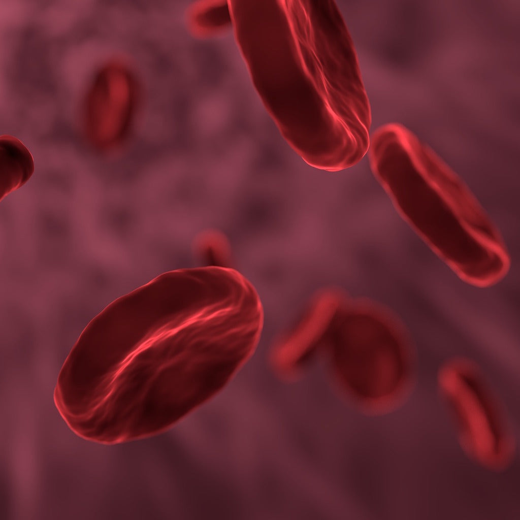 Celebrating National Hemophilia Day: What Is Hemophilia? | Care+Wear